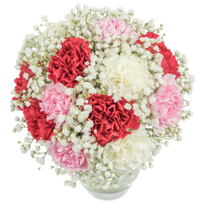 Displayed against a luminous white backdrop, this sophisticated bouquet brims with the traditional charm local residents of Sipson treasure-soft pink, romantic deep red, and crisp white carnations densely arranged into an abundant, almost sculpted dome. The characteristic ruffled edges of each carnation unfold like delicate silk, their colours harmoniously blended throughout the compact arrangement. Delicate sprays of pristine white baby's breath weave between the carnation heads, bringing an airiness and ethereal lightness that softens the display. The clear glass vase anchors the piece, its simple round form allowing a glimpse of cool water and sturdy stems-an invitation to appreciate the freshness delivered straight from our Sipson florists. Thanks to the expertly balanced overhead lighting, every hue is saturated and clear, drawing the eye and lifting the spirits. Whether chosen for a momentous occasion like Mother's Day or a spontaneous gesture of thankfulness for a neighbour along Sipson Road, this arrangement emanates a welcoming glow and enduring beauty. It is a bouquet rich in both tradition and modern elegance-a celebration of love, joy, and community.