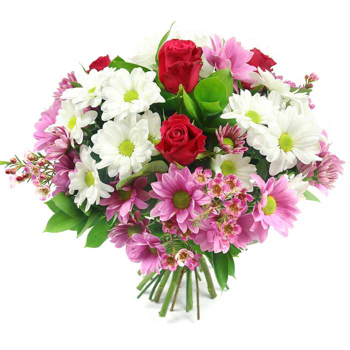 A beautifully balanced, hand-tied bouquet stands out vividly against a pristine white background, reminiscent of a freshly prepared arrangement ready for delivery to a home near Sipson's village centre. At its core, two rich red roses serve as the focal point, their petals densely layered and still tightly curled, suggesting freshness and the promise of blooms yet to open fully. Around them unfurls a generous circle of white daisy-like chrysanthemums, their petals crisp and finely arranged, each flower featuring a bright lime-green centre that catches the light and adds a touch of spirited brightness. Woven seamlessly through this white framework are numerous pink daisy chrysanthemums, ranging from soft pastel pink to warmer mid-pink tones, all with matching green centres that create a rhythm of repeating colours, drawing the eye around the rounded shape of the bouquet. Interspersed among the larger flowers are dainty sprays of pale pink filler blooms, similar to waxflowers, with star-shaped petals and pronounced stamens that add a lace-like texture and give the arrangement gentle movement. Lush greenery anchors the design, with broad, slightly glossy leaves and smaller, fresher green sprigs tucked between blossoms to provide depth, contrast, and a natural, garden-inspired feel that might remind one of local hedgerows around Sipson. At the base, the stems are clearly visible, neatly aligned and bound together, emphasizing the hand-tied craftsmanship and readiness for placing straight into a favourite vase. The combination of vibrant red, pure white, varied pinks, and bright green evokes feelings of joy, affection, and quiet celebration, making this bouquet suitable for birthdays, anniversaries, Mother's Day, or as a thoughtful thinking of you surprise for someone special in Sipson.