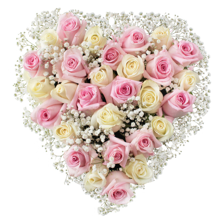 At the heart of Sipson's floral artistry lies this emotive, heart-shaped composition-a masterful arrangement of roughly 30 roses in gentle blush pink and creamy-white hues, each selected for its fullness and tender charm. The roses, showing off intricate whorls and silky smooth textures, transition gracefully from delicate bud to sumptuous bloom. Amid these blossoms, white baby's breath (Gypsophila) scatters like soft clouds, filling the gaps with lightness and subtle texture, reminiscent of the gentle mists that drift over Sipson Village Green in early spring. Every rose is carefully positioned, their velvety petals echoing whispers of love, comfort, and remembrance. The symmetrical heart, perfectly framed against a crisp white background, amplifies the grace and emotion embedded in the design. Brilliant, even lighting draws out the true shades of pink and cream, making the bouquet appear luminous with promise. Crafted with heartfelt expertise, this arrangement offers an elegant tribute for funerals, memorials, or moments of commemoration. It conveys nuanced tenderness and sincere care, reflecting both the classic beauty of roses and the enduring spirit of Sipson's close community-a timeless choice for those seeking to express pure affection or honour a loved one's memory.