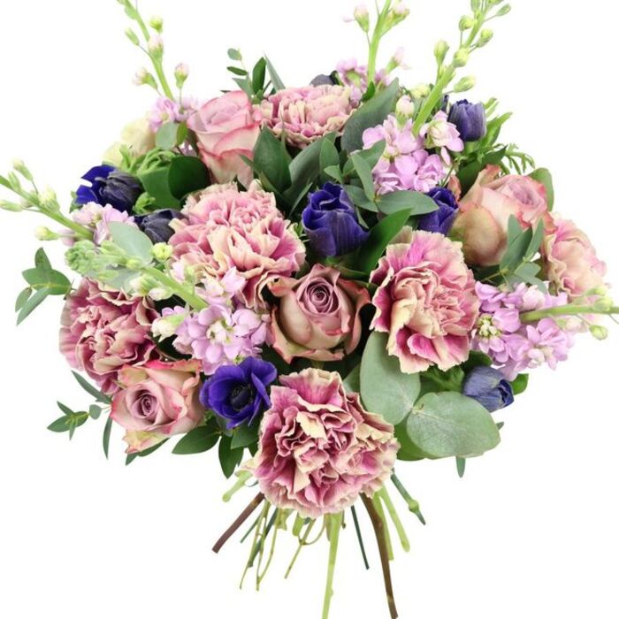 This image shows a lush, expertly spiralled bouquet resting against a plain white background, allowing every bloom and leaf to stand out clearly. At its heart are sumptuous garden roses in layered shades of dusty rose, blush pink, and muted mauve, their petals opening in tight whorls that speak of classic romance. Surrounding them, generously placed carnations add volume and intricate texture; each ruffled flower blends creamy beige and pale blush at the centre into deeper rose and plum-pink fringes, like softly shaded fabric. Punctuating the pastel tones, deep indigo flowers-resembling closed tulips or young anemones-create pockets of intensity. Near the base, a single open anemone in vivid royal blue, with a dark central eye, becomes an immediate focal point, grounding the colour palette. Delicate stems of lilac and pale purple stock rise slightly above the main dome, their rows of tiny blossoms giving height and a sense of gentle movement, as if catching a light breeze drifting in from the fields skirting Sipson. Wrapping the composition, dark green rose foliage and rounded, silvery eucalyptus leaves radiate from the centre, lending contrast, fullness, and a visual suggestion of cool, refreshing scent. Finer green stalks tipped with small buds weave through, subtly enhancing the natural, just-picked feel. The stems are visible and neatly tied at the bottom, angled like an elegant fan, indicating a freshly made hand-tied bouquet ready for flower delivery around Sipson, West Drayton, and the Heathrow corridor. The overall mood is romantic yet modern, suitable for weddings, anniversaries, spring celebrations, or any occasion where you wish to send beauty with a touch of local charm.