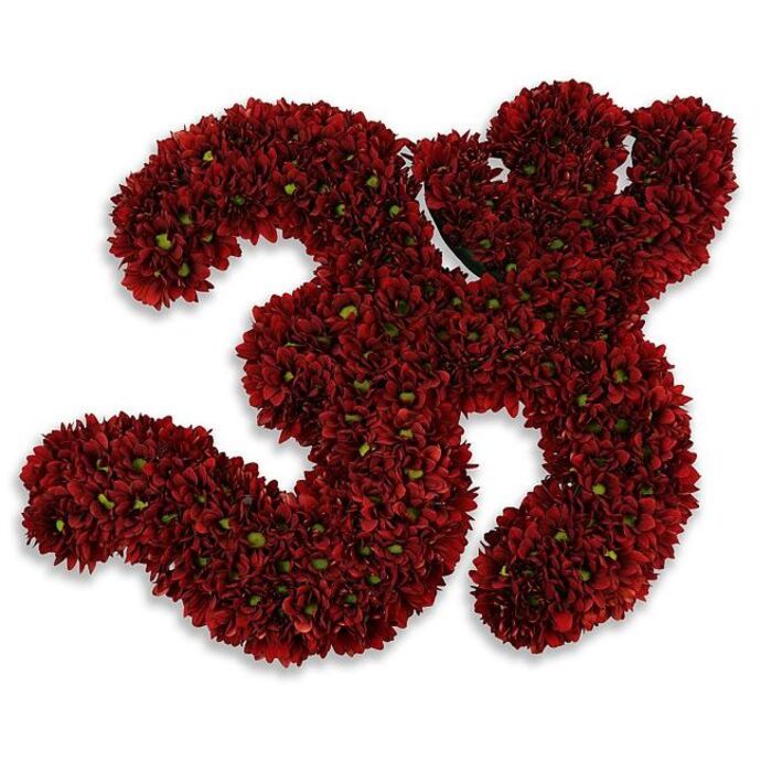 A striking, meticulously assembled number 33 crafted from hundreds of button chrysanthemums in a deep burgundy-crimson that reads almost velvety to the eye. The two numerals are densely packed, each blossom sitting shoulder-to-shoulder so the surface becomes plush and tactile; tiny green centers peek through here and there, softening the intensity of the red and lending a subtle, natural contrast like small islands of spring amid a sea of wine. The composition is photographed against a flawless white background that isolates the form and heightens the colour's depth, while a diffuse gray shadow beneath the digits suggests a delicate elevation as if the floral sculpture is gently hovering above the surface. The craftsmanship is evident in the crisp edges and the consistent volume from top to bottom - a florist's discipline that yields a celebratory yet solemn object, suitable for a 33rd anniversary, a milestone birthday, a memorial tribute or to mark a sports jersey number at a local club. Created by practitioners who know Sipson's taste for considered floristry - and available from Flower Delivery Sipson for local ceremonial needs - the piece bridges personal significance with visual theatre. Imagine it standing on a mantle in a Sipson village hall or beside a commemorative table near Bath Road: the combination of rich pigment, compact texture and soft shadow makes the number both immediate and enduring, an emblematic floral statement that honours an occasion with depth and quiet elegance.