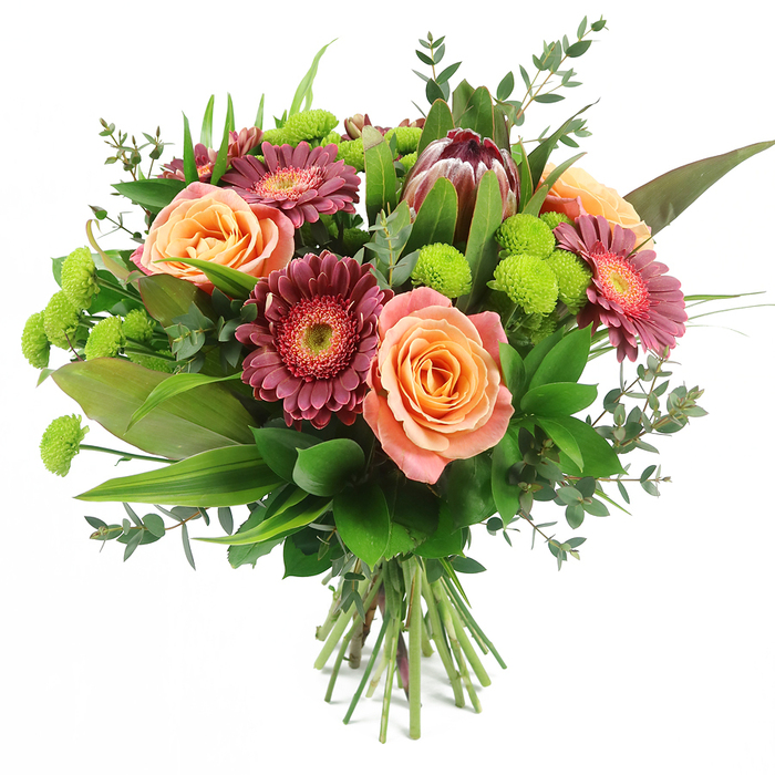 A beautifully composed, hand-tied bouquet is shown against a crisp white background, its colours and textures standing out clearly, as if ready to be delivered from a Sipson florist to a nearby cottage or hotel lobby. Dominating the arrangement are lush roses in soft peach, coral, and salmon pink hues, their petals layered in tight, spiralling centres that gradually loosen into open, softly frilled blooms, revealing gentle gradients from pale, almost creamy edges to deeper, more saturated cores. Interwoven among the roses are striking gerbera daisies in shades of rich magenta and burgundy, their many slender petals radiating from textured central discs that can appear slightly lighter, adding dimension and a lively sense of rhythm. Slightly elevated in the upper portion of the bouquet rests a single, commanding king protea, easily recognised by its robust, artichoke-like form with overlapping maroon and mauve-pink bracts tipped with blush, lending an exotic, contemporary accent to the design. Punctuating the bouquet are clusters of vivid lime-green Santini chrysanthemums, compact and spherical like tiny pom-poms, which inject bright, playful energy and contrast, echoing the fresh, open feel of the green spaces around Sipson Way. A generous array of foliage surrounds and supports the blooms: broad, glossy dark green leaves provide structure at the base, tall, slender blades stretch upwards to add height, and airy sprigs of eucalyptus with rounded, bluish-green leaves soften the overall outline and hint at a cool, refreshing scent. The neatly trimmed stems are visible beneath the tying point, emphasizing the hand-crafted nature of the bouquet and the skill of seasoned florists serving the Sipson community. The overall mood is one of graceful celebration and heartfelt warmth, suitable for birthdays, anniversaries, welcomes, or simple acts of kindness across the UB7 area.