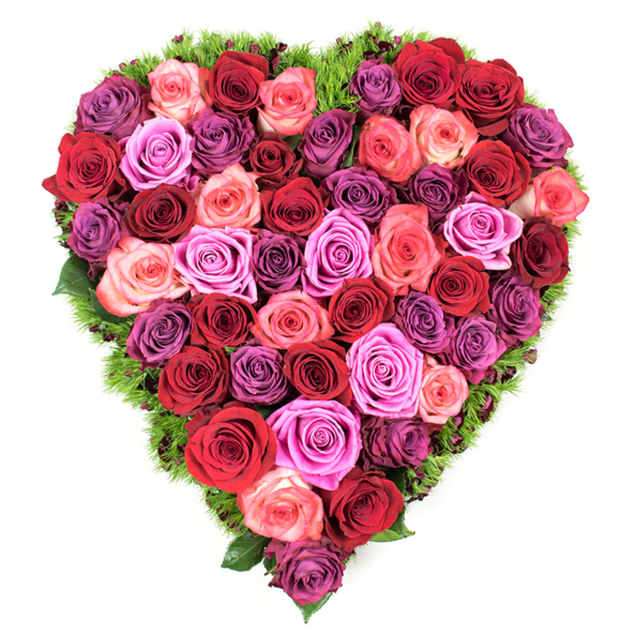 From an overhead vantage the heart reads as a densely textured field of roses, a crafted emblem of devotion and remembrance that is both visually striking and tactilely inviting. The arrangement assembles a rich palette: bold crimson and scarlet roses anchor the design, interlaced with soft blush and coral tones that melt into vivid fuchsia and magenta, while pockets of lavender, mauve and deeper plum bring cool shadow and depth. Each rose is open or gently unfurling, its velvety petals layered to create a continuous, plush surface that eliminates any gaps and produces an almost sculptural density. A slender halo of dark green, fern-like foliage or moss traces the heart's edge, lending a fresh, living frame that both defines the shape and introduces a hint of tender renewal. The overhead composition emphasizes careful symmetry and floristry technique-flowers placed to create colour flow and emotional cadence rather than randomness. The result is a floral statement appropriate for moments of romance, anniversaries, or solemn remembrance; its presence reads as both celebration and consolation. Crafted locally in Sipson with attention to seasonal freshness, this heart-shaped tribute is prepared with the kind of care you would expect from a neighbourhood florist and is suitable for delivery across Sipson, Longford and West Drayton. Flower Delivery Sipson composes this sort of piece when families request something that speaks plainly of love and honour, offering a visual tribute that lingers in memory long after the blooms have quieted.