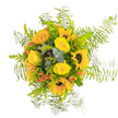 This lively, sun-drenched bouquet feels like a walk through a blooming garden in the heart of Sipson on a bright afternoon. Golden sunflowers with bold brown centers smile up from the center, their petals vivid and wholesome, while soft yellow roses nestle nearby, offering silky depth and gentle fragrance. Rich touches of orange-red berries peek through the sunny blooms, adding sparks of joyful contrast, and slender eucalyptus leaves weave in subtle blue-green coolness. The bouquet's form is natural yet abundant, with airy, feathery Asparagus fern spilling from the edges in whimsical bursts that seem to dance in the light, much like the greenery along Sipson Lane. Thoughtfully crafted for local celebrations or heartfelt gifting, this arrangement brings the outside in, radiating gratitude and happiness. Each bloom and leaf is carefully chosen by florists familiar with the tastes and traditions of the Sipson community, ensuring every doorstep delivery captures the fullness of local garden beauty-in scent, color, and seasonal joy.