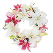 A serene, classically-styled funeral wreath sits radiantly against a pure white backdrop, crafted with artistry for the Sipson community. The circular form draws the gaze inward with its seamless ring of broad-petalled white Oriental lilies, each bloom unfurling in graceful symmetry to convey an impression of peace, purity, and eternal remembrance. Vivid fuchsia stargazer lilies are thoughtfully dispersed around the wreath, their bold magenta hues and intricate speckling introducing notes of warmth and vitality that gently balance the composition. Between these, clusters of tightly curled blush and cream roses evoke a sense of gentleness and affection, their delicate petals layered amidst lush yet subtle green foliage, perhaps just-touched by morning dew. The overall texture is rich and varied, from the velvety lilies to the softly ruffled roses, supported by understated wisps of green-offering both structure and a whisper of the outdoors near Sipson's tranquil parks. Intended as a profound expression of sympathy and remembrance, whether for a funeral service at St. Mary's or a memorial gathering in a local home, this floral tribute offers comfort with its harmonious elegance, embodying respect and heartfelt support during moments of loss in Sipson.