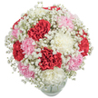 This cheerful bouquet radiates a harmonious blend of colour and texture, designed to spark delight within any Sipson home. At its core, rich red, soft pink, and creamy white carnations blossom together, petals ruffled and lively beneath the soft glow of natural light. Baby's Breath encircles the arrangement, the tiny white flowers floating like springtime mist above local meadows, lending a sense of lightness and purity. The rounded bouquet, compact yet unrestrained, appears almost to overflow from its subtle glass vase, which glistens modestly at the base of the frame. Perfect for birthdays, thank-you gestures, or spontaneous acts of kindness in Sipson, this composition is a celebration of freshness and artistry. With every carnation releasing its signature, slightly sweet fragrance, and every cluster of gypsophila softening the scene, the arrangement embodies the care and hospitality found in Sipson's neighbourhood flower deliveries. Carefully crafted, it brings warmth and meaning to everyday moments and life's special occasions.